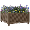 Pots & Planters